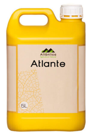 Atlante-5-l