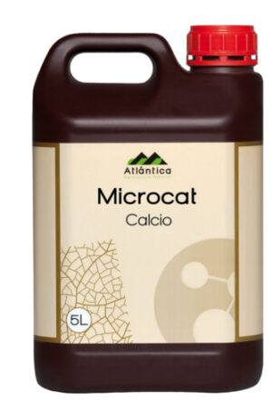 MICROCAT-calcio