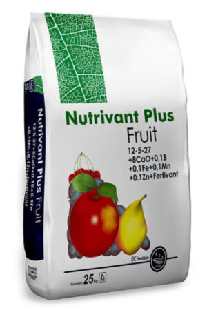 NV-Plus-9-Fruit-12-5-278CaO0.1B0.1Fe0.1Mn0