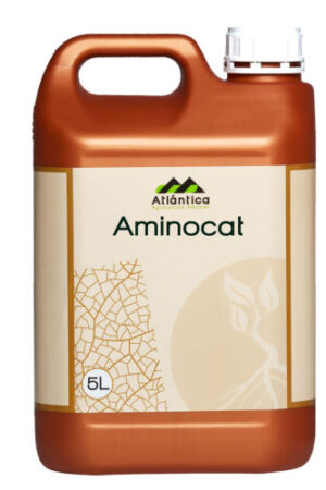 amonicat