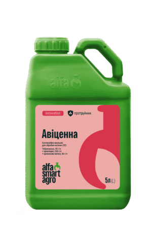 Протруйник Авіценна