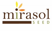 logo Mirasol Seed