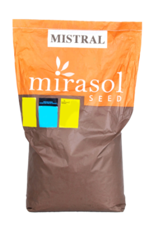 Соняшник MISTRAL CL+OR7 Mirasol Seed