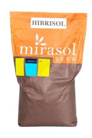 Соняшник HIBRISOL SU + OR7 (Гібрісол)