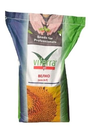 Соняшник Велко Viterra Seed